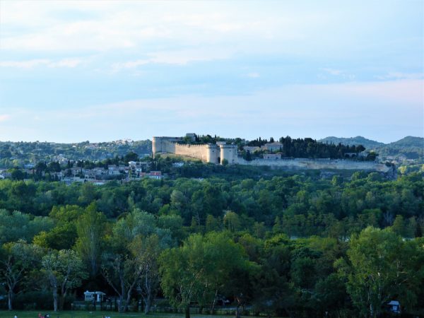 avignone
